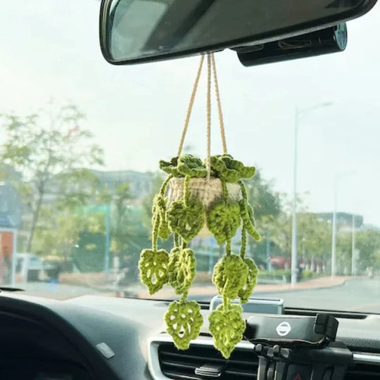 Car Hanging Crochet Plant Handmade