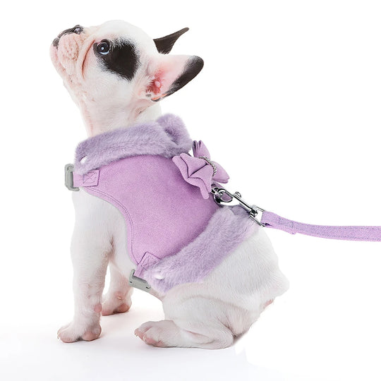 Pet Car Seats And Restraints Dog Seat Selt | Automania