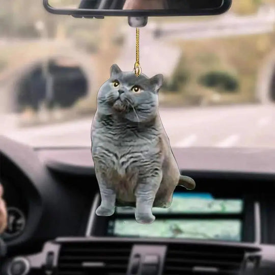 Mirror Hanging For Car Accessories