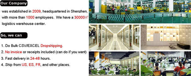 Car Window Ice Scraper