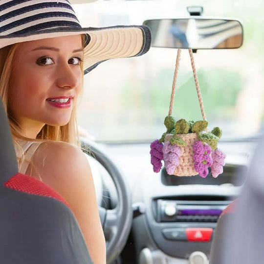 Car Hanging Crochet Plant Handmade