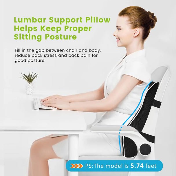 Best Car Seat Cushion for Buttock Pain   EliteComfort Lumbar Support Pillow