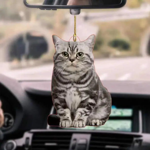 Mirror Hanging For Car Accessories