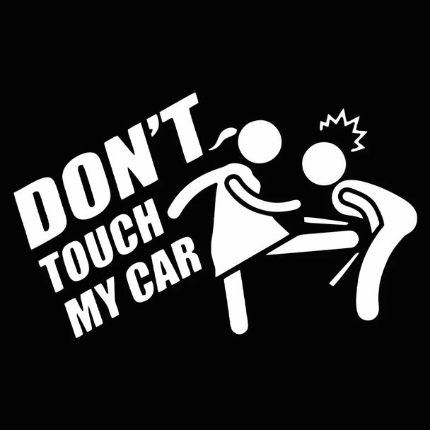 Funny Car Stickers for Back Windows