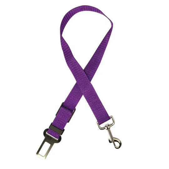 car pet seat belt PURPLE