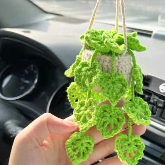 Crochet hanging plant car Fluorescent