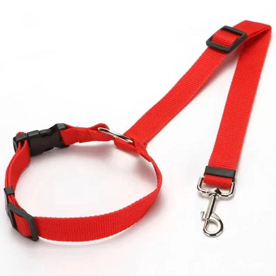 dog carrier seat belt red
