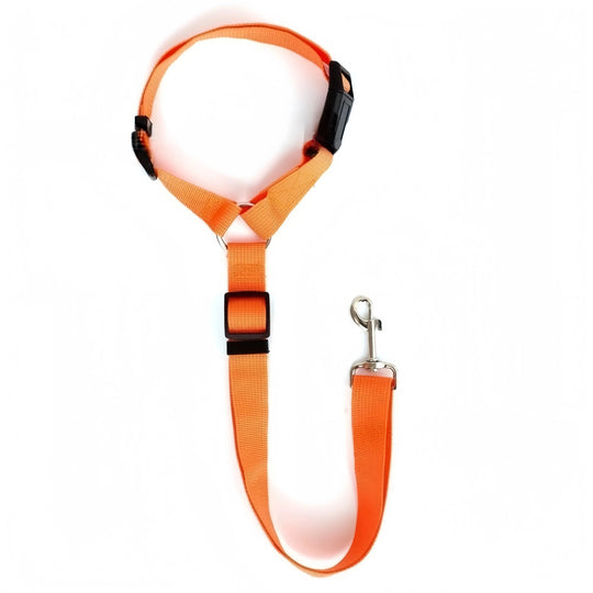 dog harness with seat belt orange