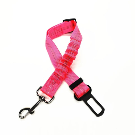 dog seat belts for car  Rose