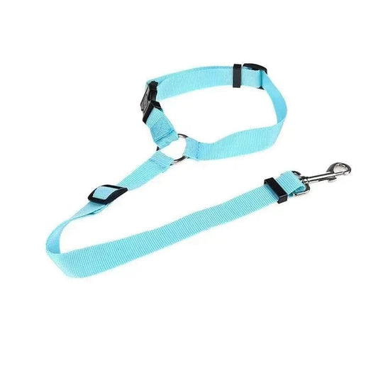 seat belts for dogs  blue